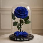 Rosa Eterna Azul en Cali